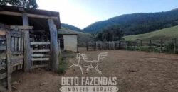 Fazenda à Venda 128 Alqueires Potencial para Pecuária | Laje do Muriaé/ RJ Fazenda à Venda 128 Alqueires Potencial para Pecuária | Laje do Muriaé/ RJ