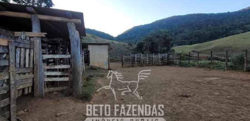 Fazenda à Venda 128 Alqueires Potencial para Pecuária | Laje do Muriaé/ RJ Fazenda à Venda 128 Alqueires Potencial para Pecuária | Laje do Muriaé/ RJ