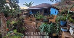 Fazenda à Venda 128 Alqueires Potencial para Pecuária | Laje do Muriaé/ RJ Fazenda à Venda 128 Alqueires Potencial para Pecuária | Laje do Muriaé/ RJ