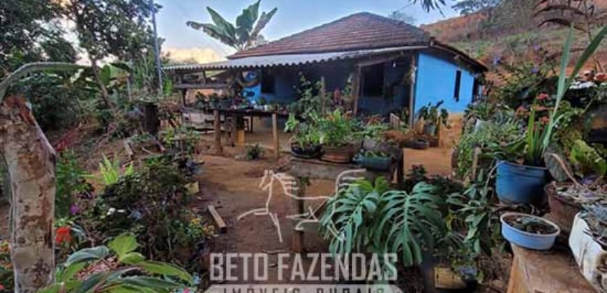 Fazenda à Venda 128 Alqueires Potencial para Pecuária | Laje do Muriaé/ RJ Fazenda à Venda 128 Alqueires Potencial para Pecuária | Laje do Muriaé/ RJ