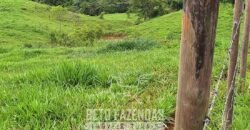 Fazenda à Venda 128 Alqueires Potencial para Pecuária | Laje do Muriaé/ RJ Fazenda à Venda 128 Alqueires Potencial para Pecuária | Laje do Muriaé/ RJ