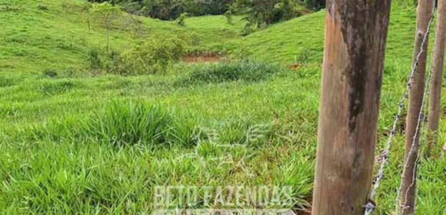 Fazenda à Venda 128 Alqueires Potencial para Pecuária | Laje do Muriaé/ RJ Fazenda à Venda 128 Alqueires Potencial para Pecuária | Laje do Muriaé/ RJ