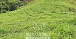 Fazenda à Venda 128 Alqueires Potencial para Pecuária | Laje do Muriaé/ RJ Fazenda à Venda 128 Alqueires Potencial para Pecuária | Laje do Muriaé/ RJ