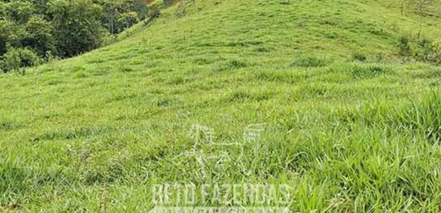 Fazenda à Venda 128 Alqueires Potencial para Pecuária | Laje do Muriaé/ RJ Fazenda à Venda 128 Alqueires Potencial para Pecuária | Laje do Muriaé/ RJ