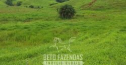 Fazenda à Venda 128 Alqueires Potencial para Pecuária | Laje do Muriaé/ RJ Fazenda à Venda 128 Alqueires Potencial para Pecuária | Laje do Muriaé/ RJ