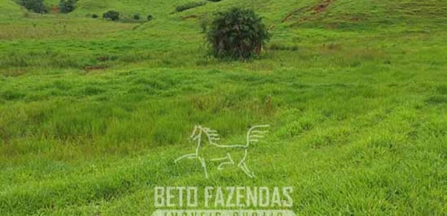 Fazenda à Venda 128 Alqueires Potencial para Pecuária | Laje do Muriaé/ RJ Fazenda à Venda 128 Alqueires Potencial para Pecuária | Laje do Muriaé/ RJ