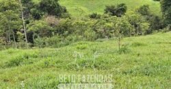 Fazenda à Venda 128 Alqueires Potencial para Pecuária | Laje do Muriaé/ RJ Fazenda à Venda 128 Alqueires Potencial para Pecuária | Laje do Muriaé/ RJ