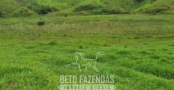 Fazenda à Venda 128 Alqueires Potencial para Pecuária | Laje do Muriaé/ RJ Fazenda à Venda 128 Alqueires Potencial para Pecuária | Laje do Muriaé/ RJ