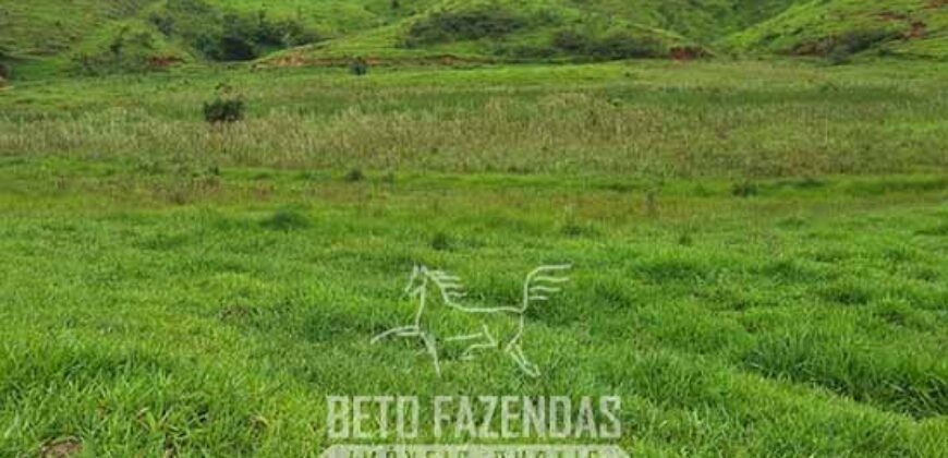 Fazenda à Venda 128 Alqueires Potencial para Pecuária | Laje do Muriaé/ RJ Fazenda à Venda 128 Alqueires Potencial para Pecuária | Laje do Muriaé/ RJ