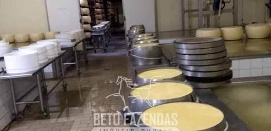 Fazenda Leiteira à Venda 127 Alqueires com Aprox. 500 Cabeças de Gado | Pouso Alegre/ MG Fazenda Leiteira à Venda 127 Alqueires com Aprox. 500 Cabeças de Gado | Pouso Alegre/ MG