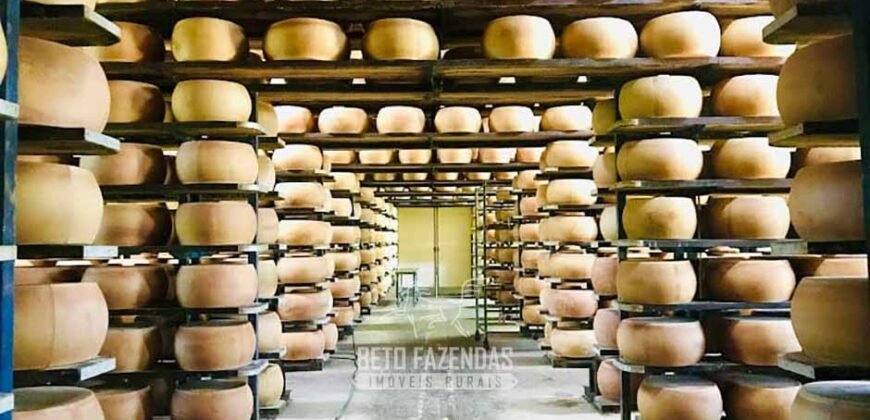 Fazenda Leiteira à Venda 127 Alqueires com Aprox. 500 Cabeças de Gado | Pouso Alegre/ MG Fazenda Leiteira à Venda 127 Alqueires com Aprox. 500 Cabeças de Gado | Pouso Alegre/ MG