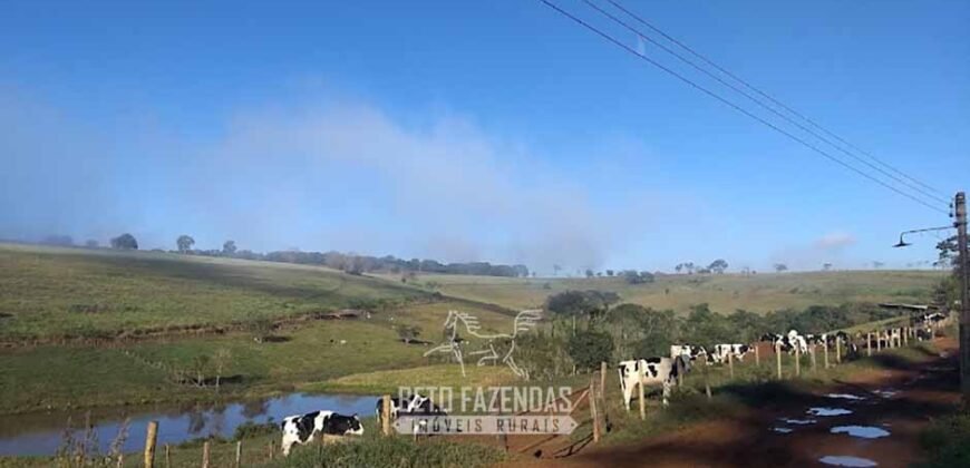 Fazenda Leiteira à Venda 127 Alqueires com Aprox. 500 Cabeças de Gado | Pouso Alegre/ MG Fazenda Leiteira à Venda 127 Alqueires com Aprox. 500 Cabeças de Gado | Pouso Alegre/ MG