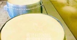 Fazenda Leiteira à Venda 127 Alqueires com Aprox. 500 Cabeças de Gado | Pouso Alegre/ MG Fazenda Leiteira à Venda 127 Alqueires com Aprox. 500 Cabeças de Gado | Pouso Alegre/ MG