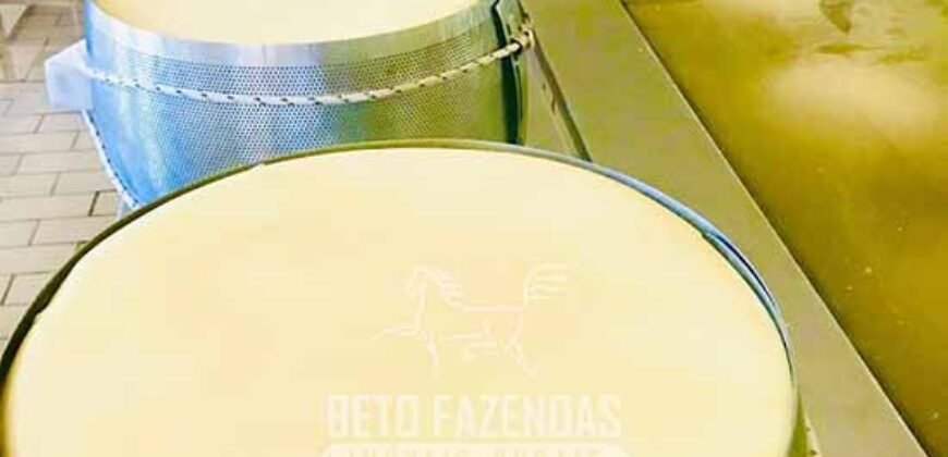 Fazenda Leiteira à Venda 127 Alqueires com Aprox. 500 Cabeças de Gado | Pouso Alegre/ MG Fazenda Leiteira à Venda 127 Alqueires com Aprox. 500 Cabeças de Gado | Pouso Alegre/ MG