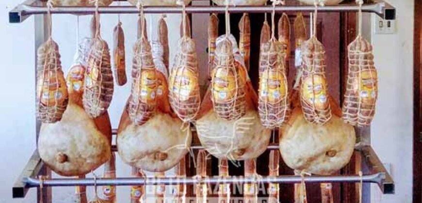 Fazenda Leiteira à Venda 127 Alqueires com Aprox. 500 Cabeças de Gado | Pouso Alegre/ MG Fazenda Leiteira à Venda 127 Alqueires com Aprox. 500 Cabeças de Gado | Pouso Alegre/ MG