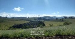 Fazenda Leiteira à Venda 127 Alqueires com Aprox. 500 Cabeças de Gado | Pouso Alegre/ MG Fazenda Leiteira à Venda 127 Alqueires com Aprox. 500 Cabeças de Gado | Pouso Alegre/ MG