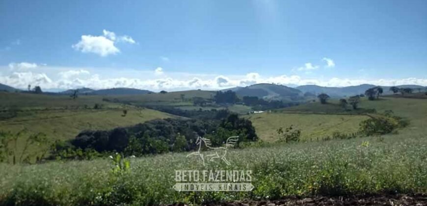 Fazenda Leiteira à Venda 127 Alqueires com Aprox. 500 Cabeças de Gado | Pouso Alegre/ MG Fazenda Leiteira à Venda 127 Alqueires com Aprox. 500 Cabeças de Gado | Pouso Alegre/ MG