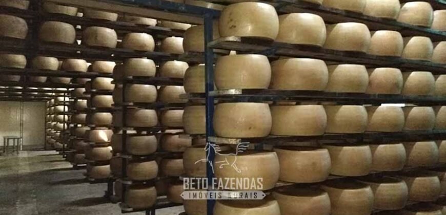 Fazenda Leiteira à Venda 127 Alqueires com Aprox. 500 Cabeças de Gado | Pouso Alegre/ MG Fazenda Leiteira à Venda 127 Alqueires com Aprox. 500 Cabeças de Gado | Pouso Alegre/ MG