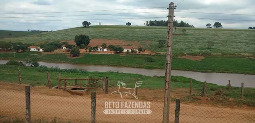 Fazenda Leiteira à Venda 127 Alqueires com Aprox. 500 Cabeças de Gado | Pouso Alegre/ MG Fazenda Leiteira à Venda 127 Alqueires com Aprox. 500 Cabeças de Gado | Pouso Alegre/ MG