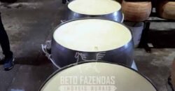 Fazenda Leiteira à Venda 127 Alqueires com Aprox. 500 Cabeças de Gado | Pouso Alegre/ MG Fazenda Leiteira à Venda 127 Alqueires com Aprox. 500 Cabeças de Gado | Pouso Alegre/ MG