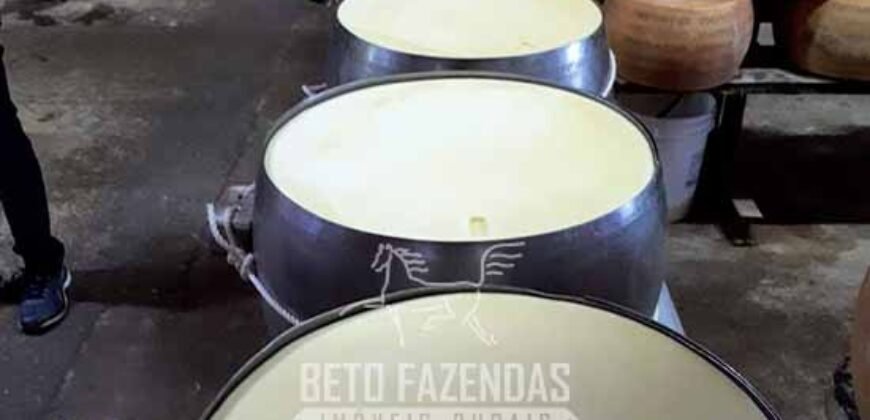 Fazenda Leiteira à Venda 127 Alqueires com Aprox. 500 Cabeças de Gado | Pouso Alegre/ MG Fazenda Leiteira à Venda 127 Alqueires com Aprox. 500 Cabeças de Gado | Pouso Alegre/ MG