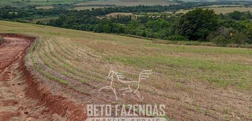 Fazenda à Venda Alta Produtividade em Soja 653 Alqueires | Alvaiporã / PR Fazenda à Venda Alta Produtividade em Soja 653 Alqueires | Alvaiporã / PR