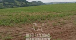 Fazenda à Venda Alta Produtividade em Soja 653 Alqueires | Alvaiporã / PR Fazenda à Venda Alta Produtividade em Soja 653 Alqueires | Alvaiporã / PR