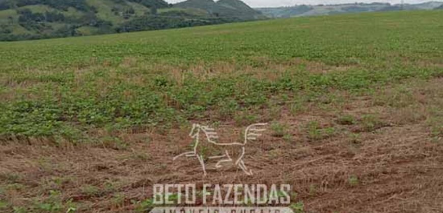 Fazenda à Venda Alta Produtividade em Soja 653 Alqueires | Alvaiporã / PR Fazenda à Venda Alta Produtividade em Soja 653 Alqueires | Alvaiporã / PR
