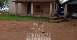 Fazenda à Venda Alta Produtividade em Soja 653 Alqueires | Alvaiporã / PR Fazenda à Venda Alta Produtividade em Soja 653 Alqueires | Alvaiporã / PR