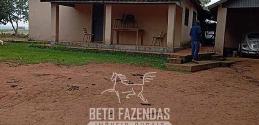 Fazenda à Venda Alta Produtividade em Soja 653 Alqueires | Alvaiporã / PR Fazenda à Venda Alta Produtividade em Soja 653 Alqueires | Alvaiporã / PR