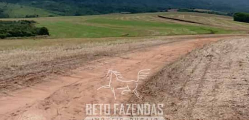 Fazenda à Venda Alta Produtividade em Soja 653 Alqueires | Alvaiporã / PR Fazenda à Venda Alta Produtividade em Soja 653 Alqueires | Alvaiporã / PR