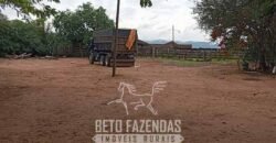 Fazenda à Venda Alta Produtividade em Soja 653 Alqueires | Alvaiporã / PR Fazenda à Venda Alta Produtividade em Soja 653 Alqueires | Alvaiporã / PR