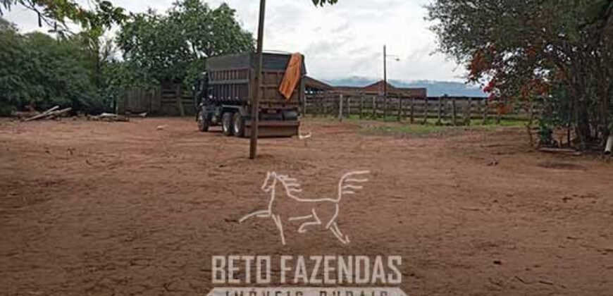 Fazenda à Venda Alta Produtividade em Soja 653 Alqueires | Alvaiporã / PR Fazenda à Venda Alta Produtividade em Soja 653 Alqueires | Alvaiporã / PR