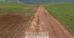 Fazenda à Venda Alta Produtividade em Soja 653 Alqueires | Alvaiporã / PR Fazenda à Venda Alta Produtividade em Soja 653 Alqueires | Alvaiporã / PR