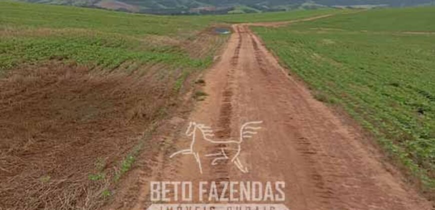 Fazenda à Venda Alta Produtividade em Soja 653 Alqueires | Alvaiporã / PR Fazenda à Venda Alta Produtividade em Soja 653 Alqueires | Alvaiporã / PR