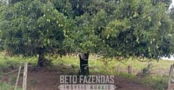 Fazenda à Venda Alta Produtividade em Soja 653 Alqueires | Alvaiporã / PR Fazenda à Venda Alta Produtividade em Soja 653 Alqueires | Alvaiporã / PR