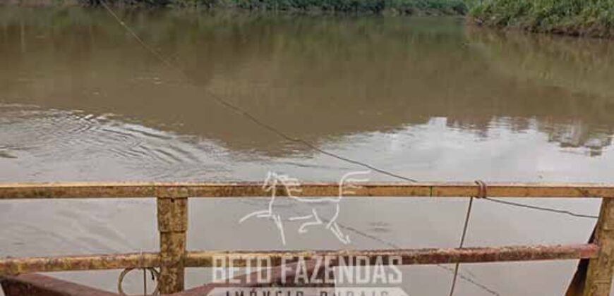 Fazenda à Venda Alta Produtividade em Soja 653 Alqueires | Alvaiporã / PR Fazenda à Venda Alta Produtividade em Soja 653 Alqueires | Alvaiporã / PR