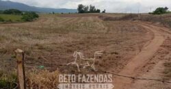 Fazenda à Venda Alta Produtividade em Soja 653 Alqueires | Alvaiporã / PR Fazenda à Venda Alta Produtividade em Soja 653 Alqueires | Alvaiporã / PR