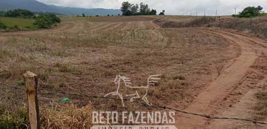 Fazenda à Venda Alta Produtividade em Soja 653 Alqueires | Alvaiporã / PR Fazenda à Venda Alta Produtividade em Soja 653 Alqueires | Alvaiporã / PR