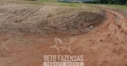 Fazenda à Venda Alta Produtividade em Soja 653 Alqueires | Alvaiporã / PR Fazenda à Venda Alta Produtividade em Soja 653 Alqueires | Alvaiporã / PR