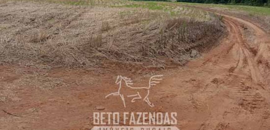 Fazenda à Venda Alta Produtividade em Soja 653 Alqueires | Alvaiporã / PR Fazenda à Venda Alta Produtividade em Soja 653 Alqueires | Alvaiporã / PR