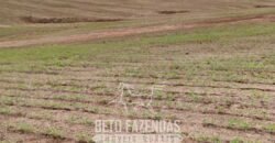 Fazenda à Venda Alta Produtividade em Soja 653 Alqueires | Alvaiporã / PR Fazenda à Venda Alta Produtividade em Soja 653 Alqueires | Alvaiporã / PR