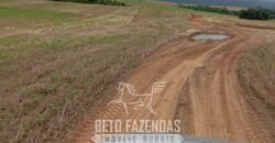 Fazenda à Venda Alta Produtividade em Soja 653 Alqueires | Alvaiporã / PR Fazenda à Venda Alta Produtividade em Soja 653 Alqueires | Alvaiporã / PR