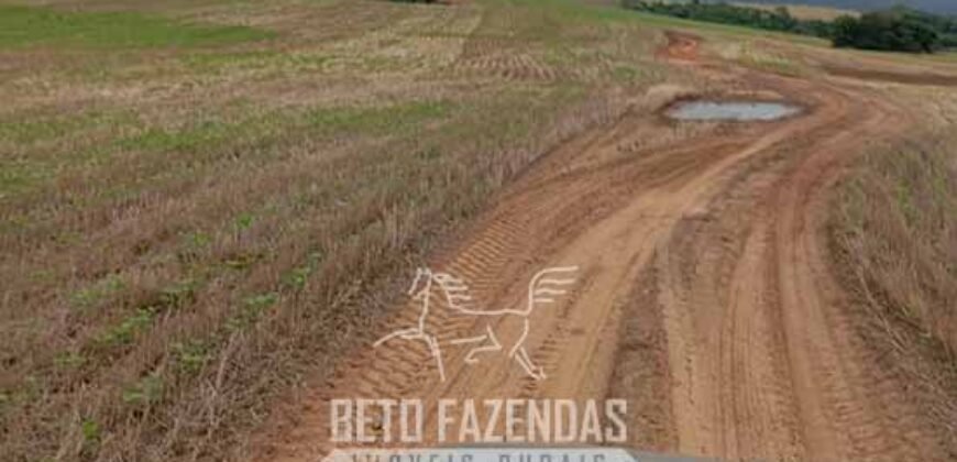 Fazenda à Venda Alta Produtividade em Soja 653 Alqueires | Alvaiporã / PR Fazenda à Venda Alta Produtividade em Soja 653 Alqueires | Alvaiporã / PR