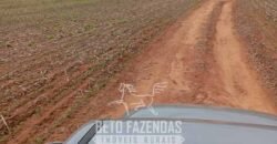 Fazenda à Venda Alta Produtividade em Soja 653 Alqueires | Alvaiporã / PR Fazenda à Venda Alta Produtividade em Soja 653 Alqueires | Alvaiporã / PR