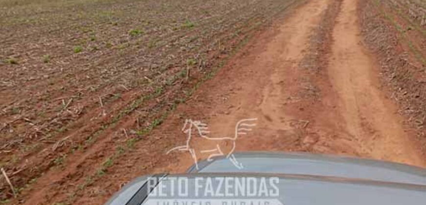 Fazenda à Venda Alta Produtividade em Soja 653 Alqueires | Alvaiporã / PR Fazenda à Venda Alta Produtividade em Soja 653 Alqueires | Alvaiporã / PR