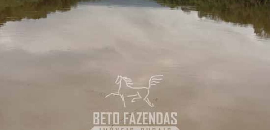 Fazenda à Venda Alta Produtividade em Soja 653 Alqueires | Alvaiporã / PR Fazenda à Venda Alta Produtividade em Soja 653 Alqueires | Alvaiporã / PR