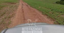 Fazenda à Venda Alta Produtividade em Soja 653 Alqueires | Alvaiporã / PR Fazenda à Venda Alta Produtividade em Soja 653 Alqueires | Alvaiporã / PR