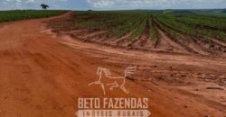 Fazenda à Venda 804 Alqueires com Arrendamento em Cana de Açúcar | Gavião Peixoto/ SP