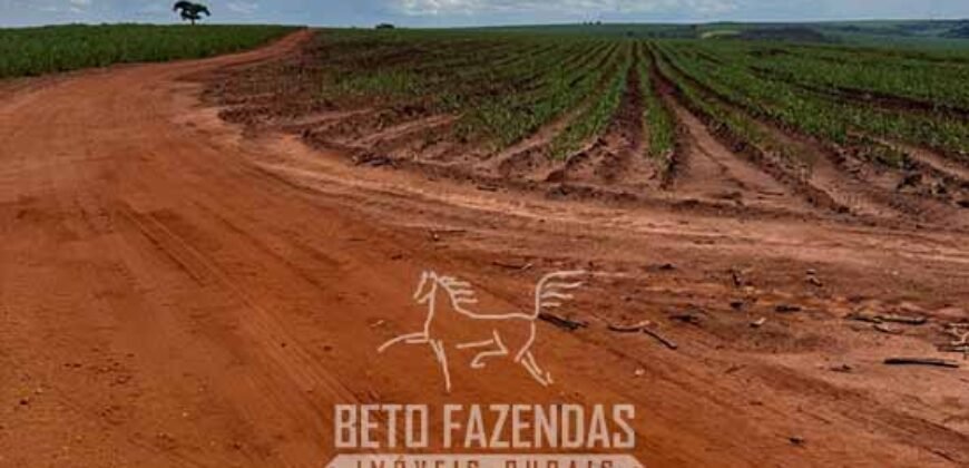 Fazenda à Venda 804 Alqueires com Arrendamento em Cana de Açúcar | Gavião Peixoto/ SP